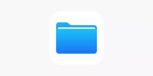 image-of-the-files-app.png