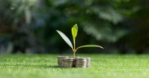 Kriptoturtas: sukčių įrankis ar finansinė priemonė?